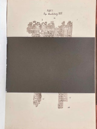 Demotische Traumdeutung (Pap. Carlsberg XIII und XIV verso)[newline]M2364c-08.jpeg