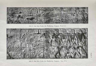 Löwenjagd im alten Ägypten[newline]M2388a-08.jpeg