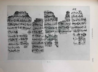 Die demotischen Gebelen-Urkunden der Heidelberger Papyrus-Sammlung[newline]M2396a-05.jpg