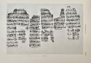 Die demotischen Gebelen-Urkunden der Heidelberger Papyrus-Sammlung[newline]M2396c-14.jpeg