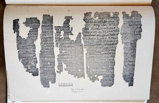 Transkription und Übersetzung des Papyrus Insinger[newline]M2408-08.jpeg