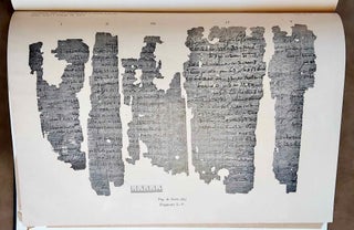 Transkription und Übersetzung des Papyrus Insinger