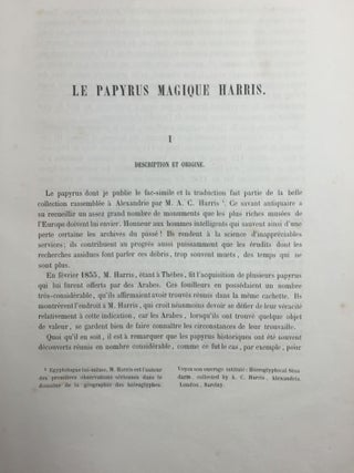 Le papyrus magique Harris[newline]M2419b-07.jpg