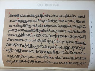 Le papyrus magique Harris[newline]M2419b-18.jpg