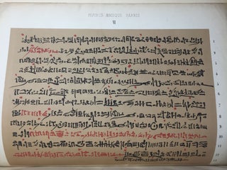 Le papyrus magique Harris[newline]M2419b-19.jpg
