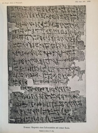 Das Gespräch eines Lebensmüden mit seiner Seele. Aus dem Papyrus 3024 der königlichen Museen.