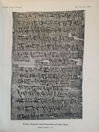 Das Gespräch eines Lebensmüden mit seiner Seele. Aus dem Papyrus 3024 der königlichen Museen.[newline]M2426-10.jpg