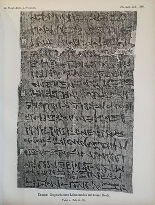 Das Gespräch eines Lebensmüden mit seiner Seele. Aus dem Papyrus 3024 der königlichen Museen.[newline]M2426-11.jpg