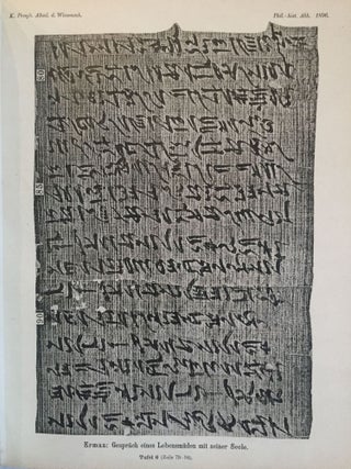 Das Gespräch eines Lebensmüden mit seiner Seele. Aus dem Papyrus 3024 der königlichen Museen.[newline]M2426-13.jpg
