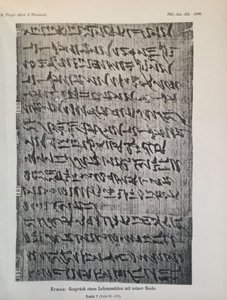 Das Gespräch eines Lebensmüden mit seiner Seele. Aus dem Papyrus 3024 der königlichen Museen.[newline]M2426-14.jpg