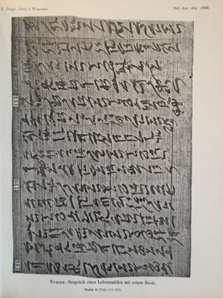 Das Gespräch eines Lebensmüden mit seiner Seele. Aus dem Papyrus 3024 der königlichen Museen.[newline]M2426-15.jpg