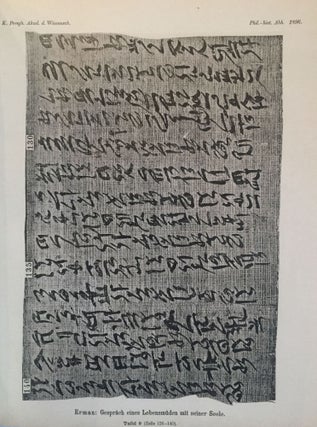 Das Gespräch eines Lebensmüden mit seiner Seele. Aus dem Papyrus 3024 der königlichen Museen.[newline]M2426-16.jpg
