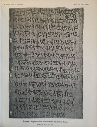 Das Gespräch eines Lebensmüden mit seiner Seele. Aus dem Papyrus 3024 der königlichen Museen.[newline]M2426-17.jpg