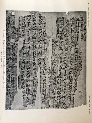 Das Gespräch eines Lebensmüden mit seiner Seele. Aus dem Papyrus 3024 der königlichen Museen.