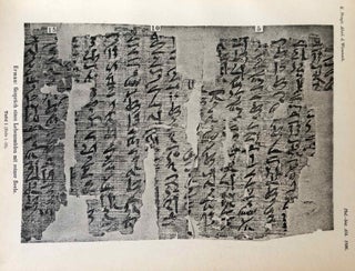Das Gespräch eines Lebensmüden mit seiner Seele. Aus dem Papyrus 3024 der königlichen Museen.[newline]M2426b-07.jpg