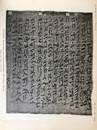 Das Gespräch eines Lebensmüden mit seiner Seele. Aus dem Papyrus 3024 der königlichen Museen.