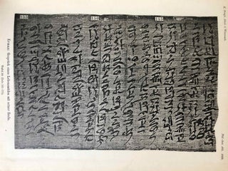 Das Gespräch eines Lebensmüden mit seiner Seele. Aus dem Papyrus 3024 der königlichen Museen.[newline]M2426b-08.jpg