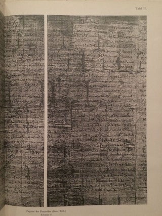Das demotische Totenbuch der Pariser Nationalbibliothek