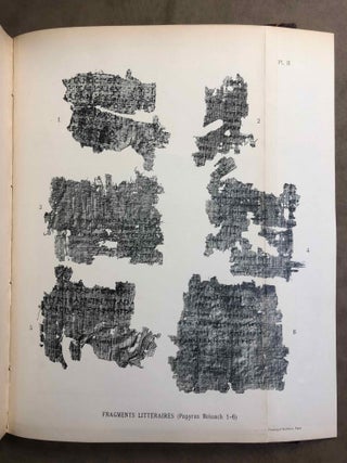 Papyrus grecs et démotiques recueillis en Egypte et publiés par Théodore Reinach[newline]M2461-22.jpg