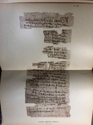 Papyrus grecs et démotiques recueillis en Egypte et publiés par Théodore Reinach[newline]M2461-27.jpg