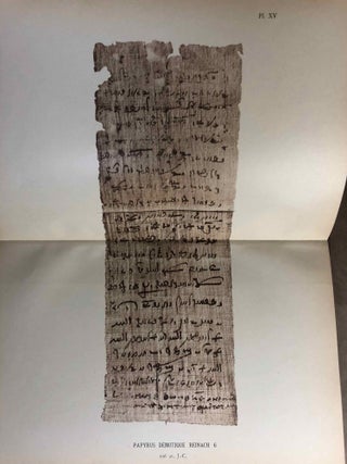 Papyrus grecs et démotiques recueillis en Egypte et publiés par Théodore Reinach[newline]M2461-28.jpg