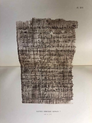 Papyrus grecs et démotiques recueillis en Egypte et publiés par Théodore Reinach[newline]M2461-29.jpg