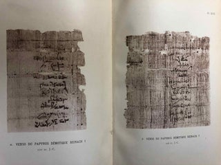 Papyrus grecs et démotiques recueillis en Egypte et publiés par Théodore Reinach[newline]M2461-30.jpg