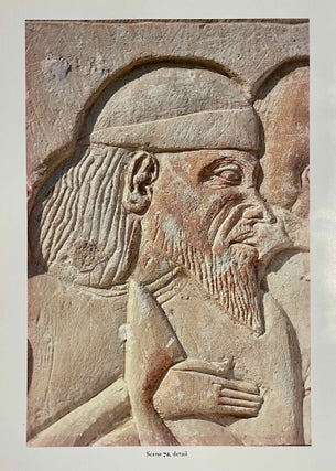 Item #M2538i The Memphite Tomb of Horemheb commander-in-chief of Tut'ankhamun. Part I: The...[newline]M2538i-00.jpeg