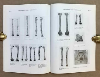 The Memphite Tomb of Horemheb commander-in-chief of Tut'ankhamun. Part IV: The human skeletal remains.