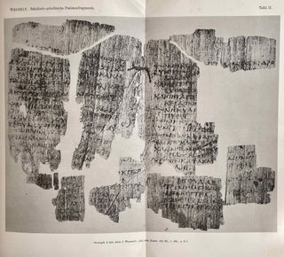 Sahidisch-griechische Psalmenfragmente[newline]M2568-08.jpeg