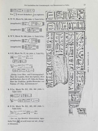 Die Inschriften des Löwentempels von Musawwarat es Sufra[newline]M2590-06.jpeg