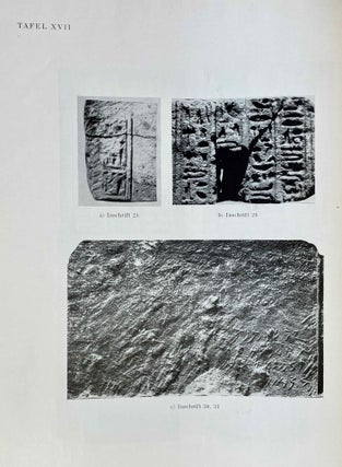 Die Inschriften des Löwentempels von Musawwarat es Sufra[newline]M2590-08.jpeg