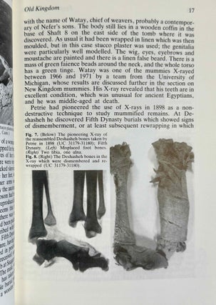Egyptian mummies