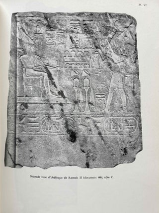 Athribis. Textes et documents relatifs &agrave; la g&eacute;ographie, aux cultes et &agrave; l'histoire d'une ville du Delta &eacute;gyptien &agrave; l'&eacute;poque pharaonique.[newline]M2739i-11.jpeg