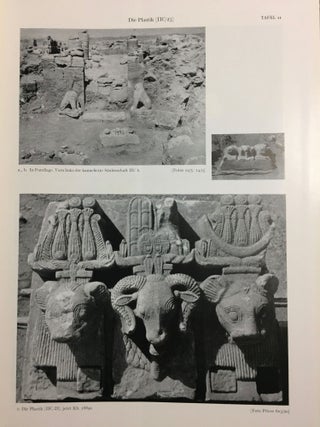 Musawwarat es-Sufra. Band I,2: Der L&ouml;wentempel. Tafelband.