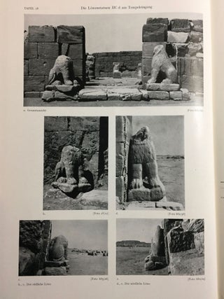 Musawwarat es-Sufra. Band I,2: Der L&ouml;wentempel. Tafelband.