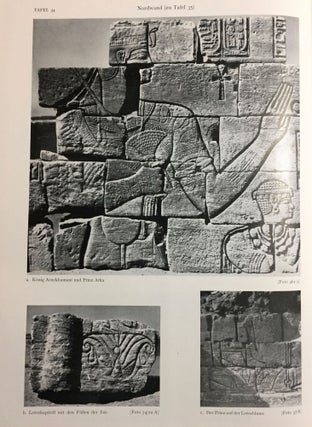 Musawwarat es-Sufra. Band I,2: Der Löwentempel. Tafelband.