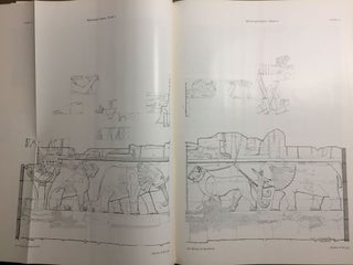 Musawwarat es-Sufra. Band I,2: Der Löwentempel. Tafelband.