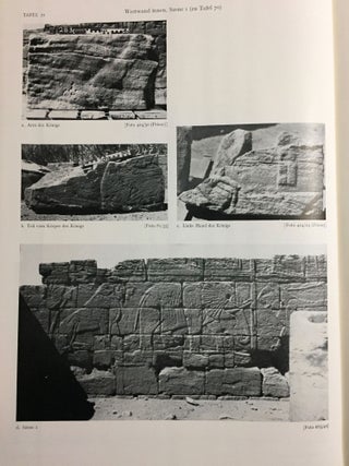 Musawwarat es-Sufra. Band I,2: Der Löwentempel. Tafelband.