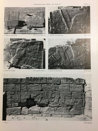 Musawwarat es-Sufra. Band I,2: Der Löwentempel. Tafelband.