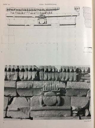 Musawwarat es-Sufra. Band I,2: Der L&ouml;wentempel. Tafelband.