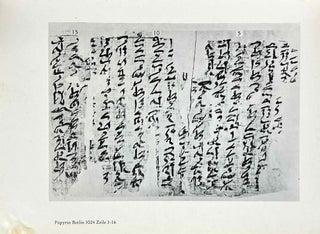 Das Gespräch eines Mannes mit seinem BA (Papyrus Berlin 3024)[newline]M2832-11.jpeg