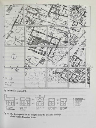 Avaris, the capital of the Hyksos, recent excavations at Tell el-Daba[newline]M2858a-05.jpeg