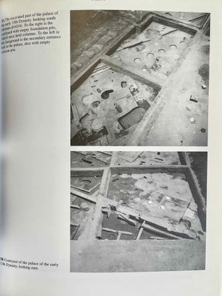 Avaris, the capital of the Hyksos, recent excavations at Tell el-Daba[newline]M2858a-08.jpeg