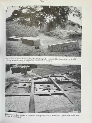 Avaris, the capital of the Hyksos, recent excavations at Tell el-Daba[newline]M2858a-09.jpeg