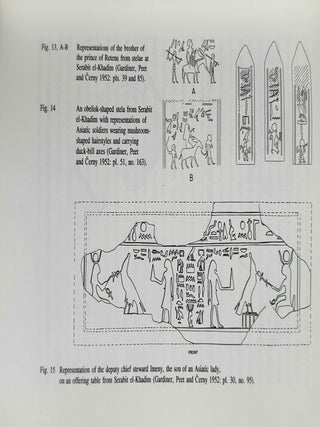 Avaris, the capital of the Hyksos, recent excavations at Tell el-Daba[newline]M2858c-04.jpeg