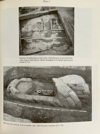 Avaris, the capital of the Hyksos, recent excavations at Tell el-Daba[newline]M2858c-07.jpeg