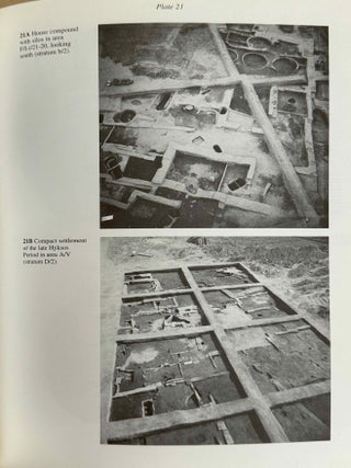 Avaris, the capital of the Hyksos, recent excavations at Tell el-Daba[newline]M2858c-08.jpeg
