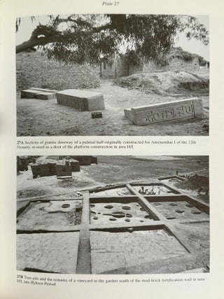 Avaris, the capital of the Hyksos, recent excavations at Tell el-Daba[newline]M2858c-09.jpeg