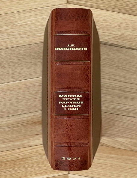 Item #M2880k The Magical texts of papyrus Leiden I 348. BORGHOUTS Joris Frans.[newline]M2880k-00.jpeg